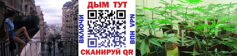 hydra ссылки  Стрежевой  Бошки Шишки марихуана  продажа наркотиков 